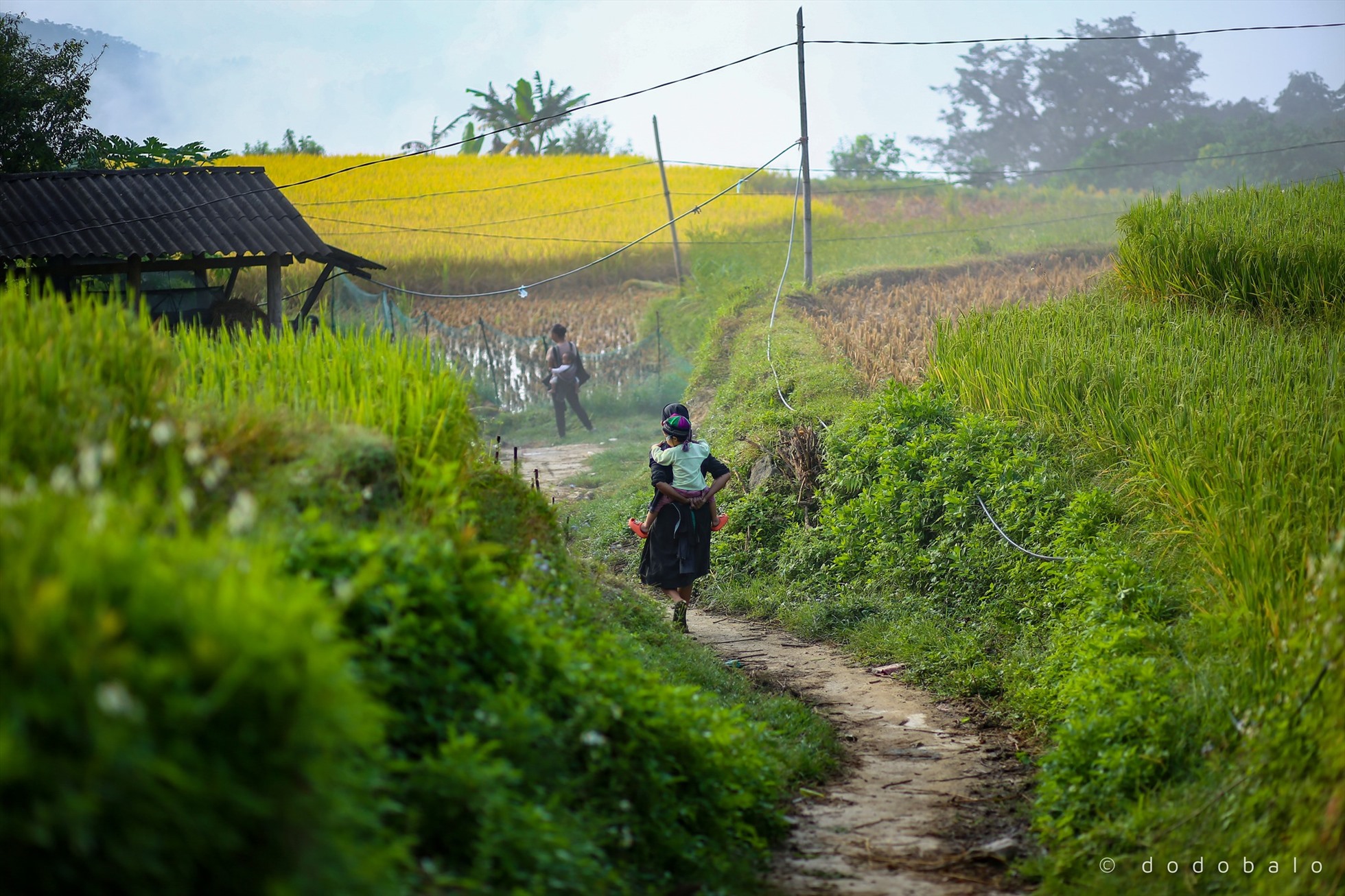 Bản Phùng có diện tích khoảng 17,04 km2 phần lớn sẽ là những thửa ruộng bậc thang được canh tác và sắp xếp chẳng có trật tự gì. Đây là nơi cư ngụ của đồng bào dân tộc La Chí. Ảnh: Đô Đô