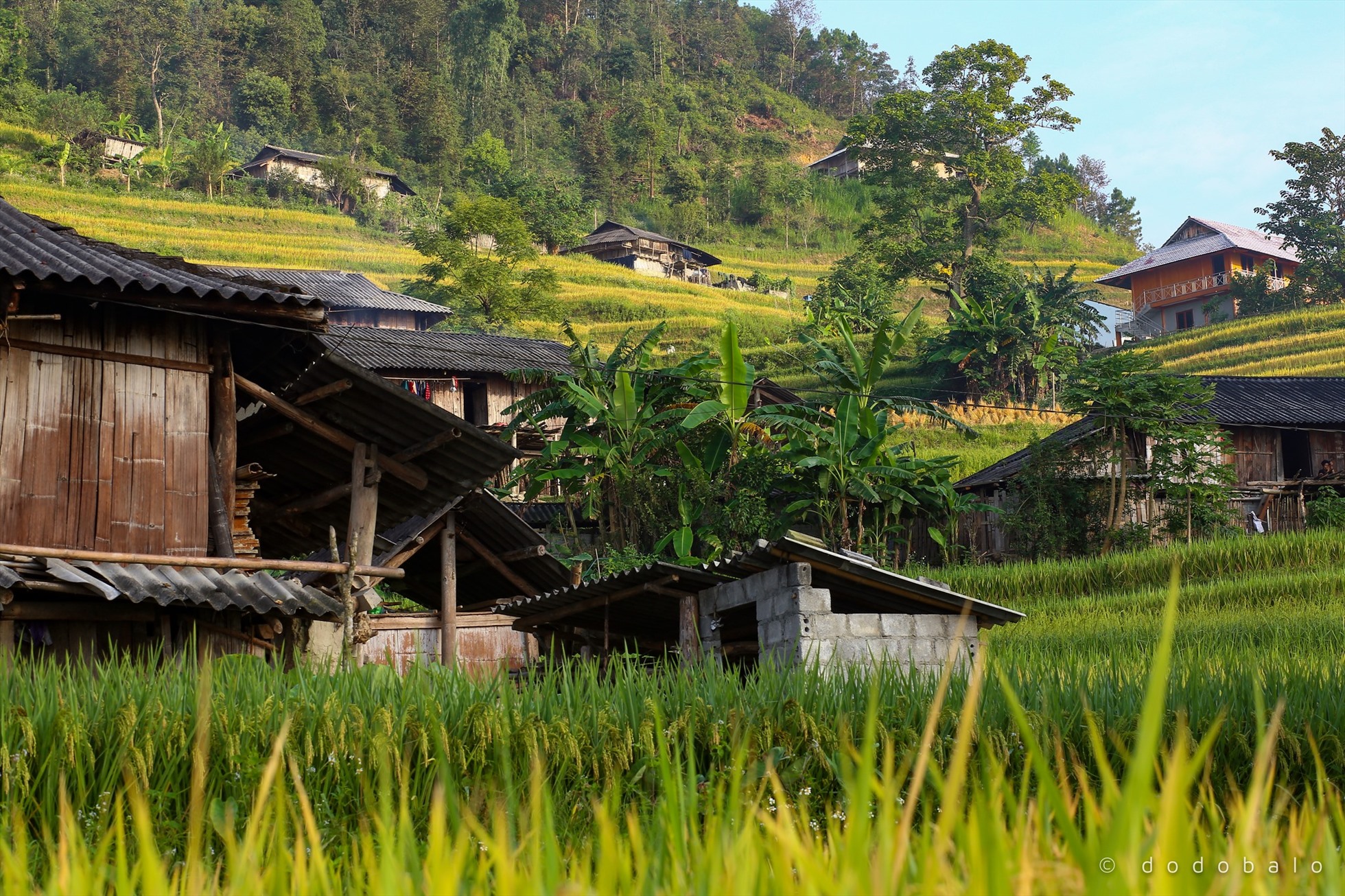 Ngày nay, bản làng này là một trong những bản làng đẹp ở Hà Giang vì có rất nhiều ruộng bậc thang. Ảnh: Đô Đô