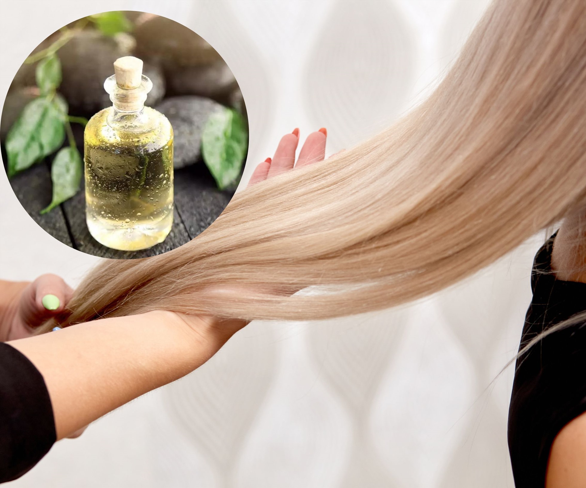 Tinh dầu từ cây trà đem lại nhiều lợi ích cho mái tóc của chúng ta. Ảnh minh họa: Thảo Hương