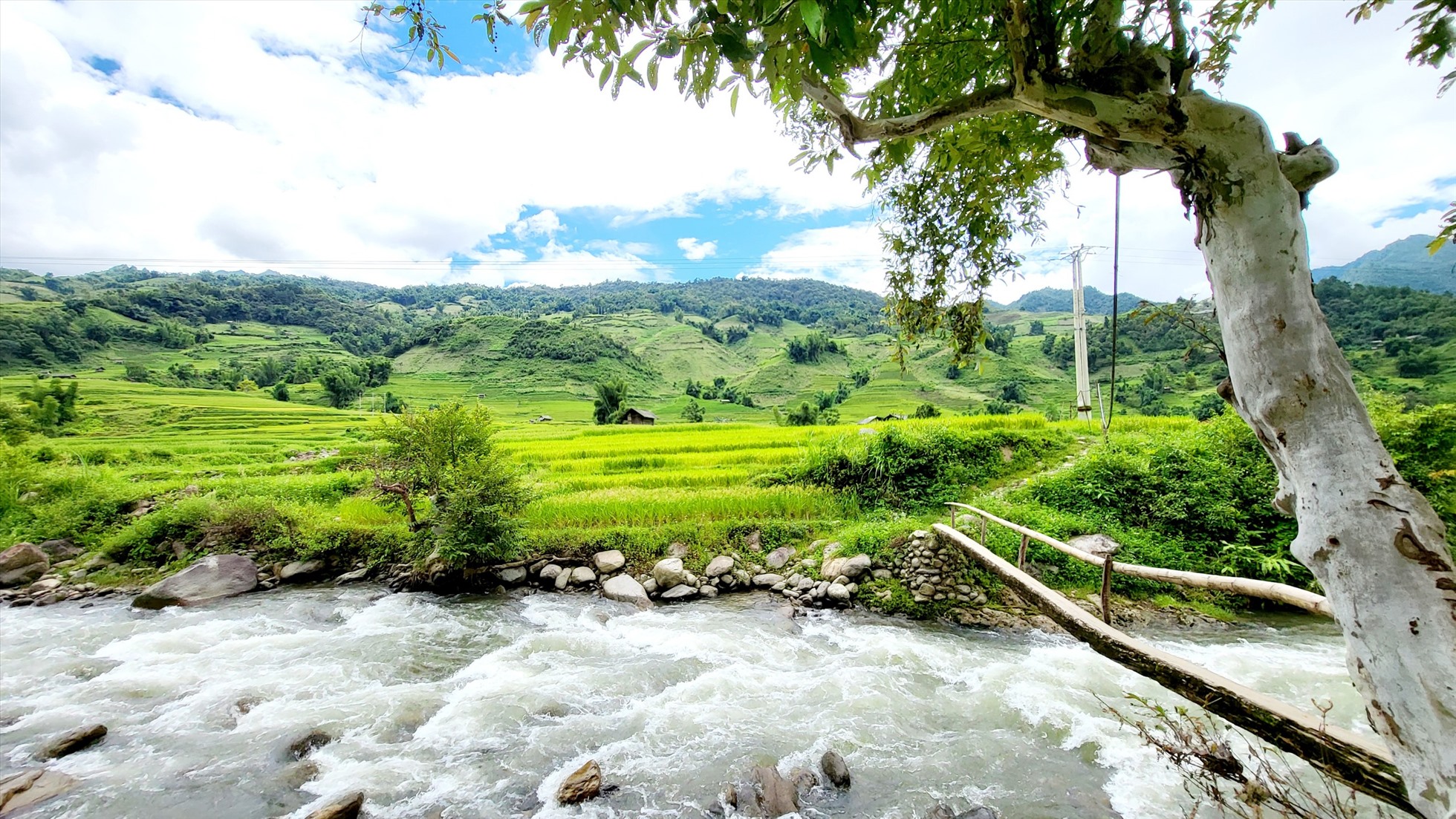 Kỳ quan vừa kỳ vĩ, vừa gần gũi được tạo bởi chính bàn tay của người nông dân cả cuộc đời gắn bó với núi rừng.