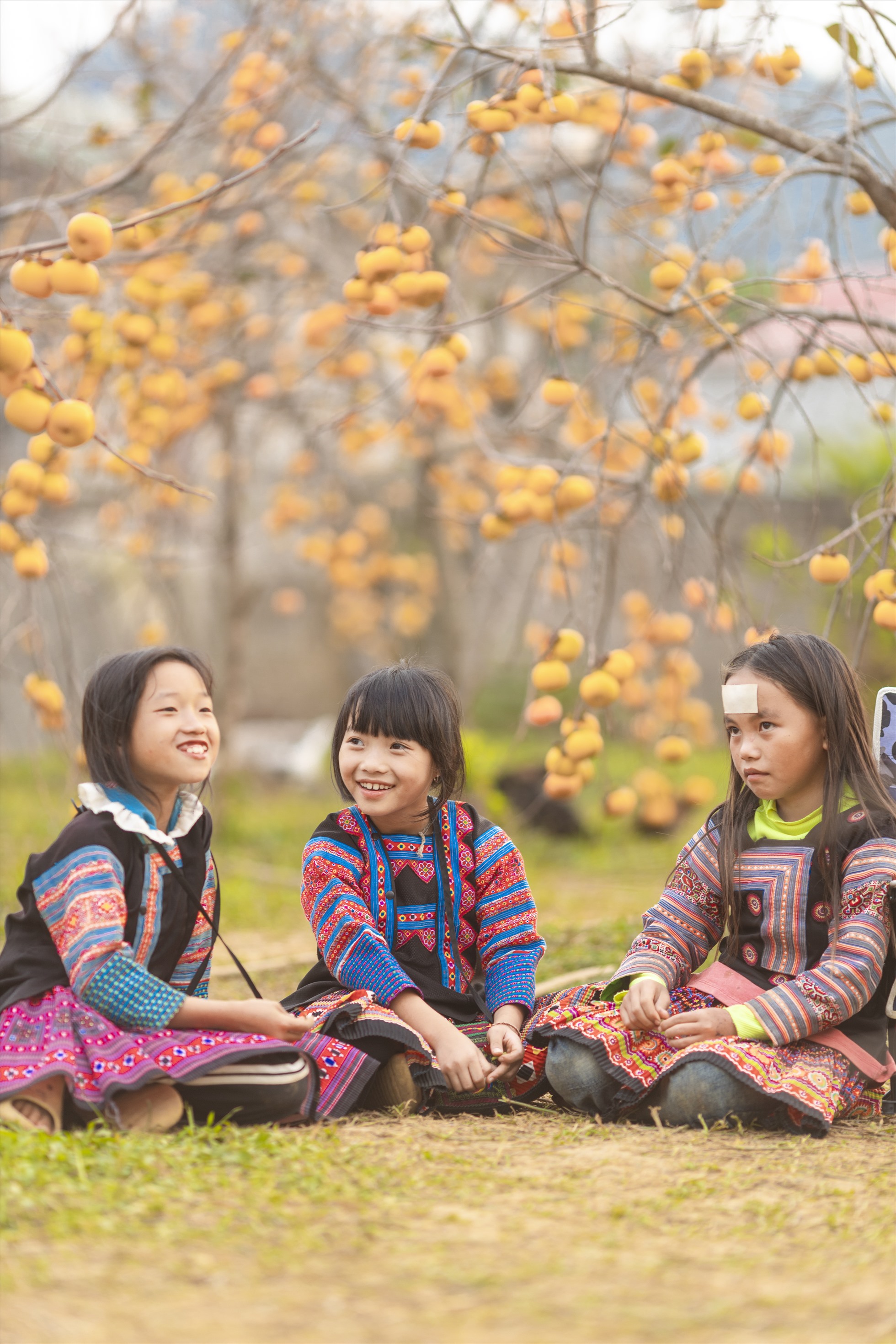 Vẻ đẹp đặc biệt này đã thu hút nhiều du khách ghé thăm và lưu giữ những khoảnh khắc ấn tượng.