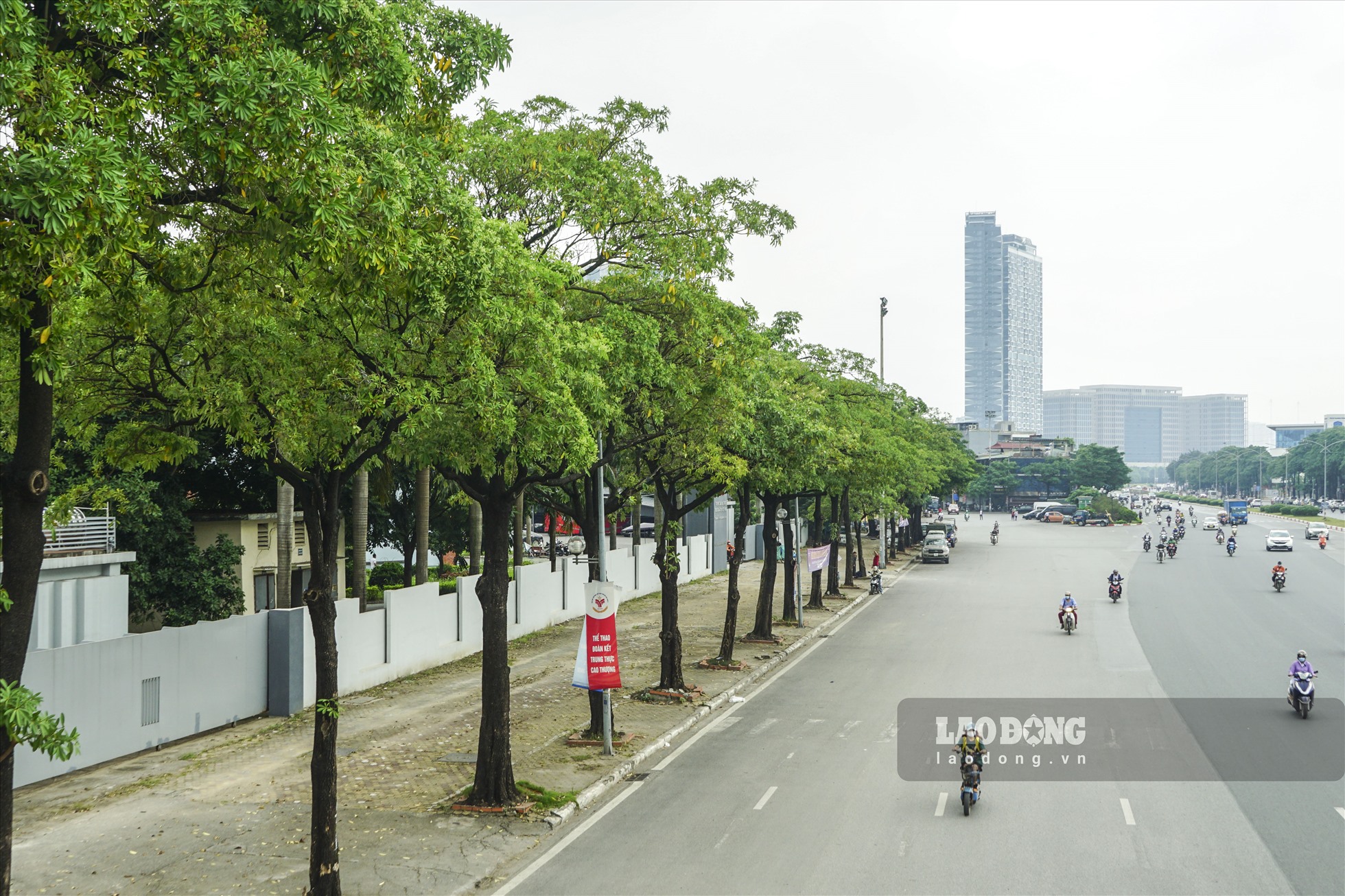 Tương tự trên đường Lê Quang Đạo, hàng cây hoa sữa nối dài tăm tắp. Người dân dừng chân chụp ảnh kỉ niệm.
