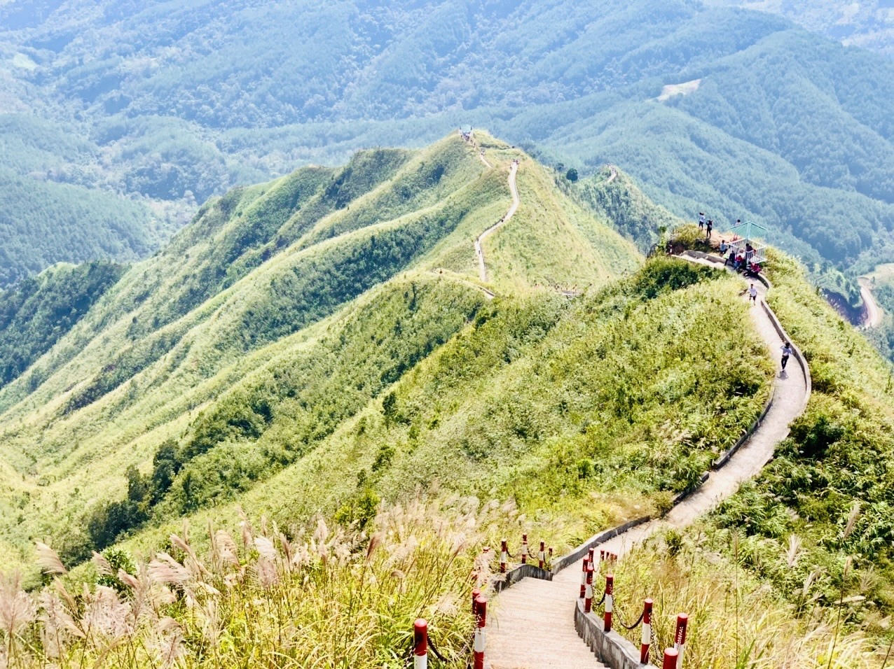 Sống lưng Khủng Long.