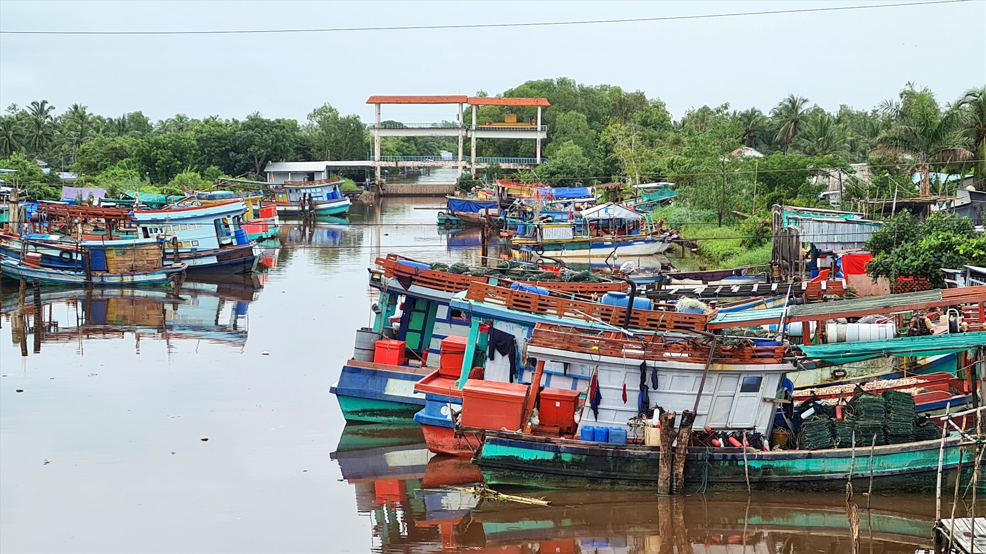 Tàu cá đánh bắt thủy sản tại tỉnh Cà Mau. Ảnh: Nhât Hồ