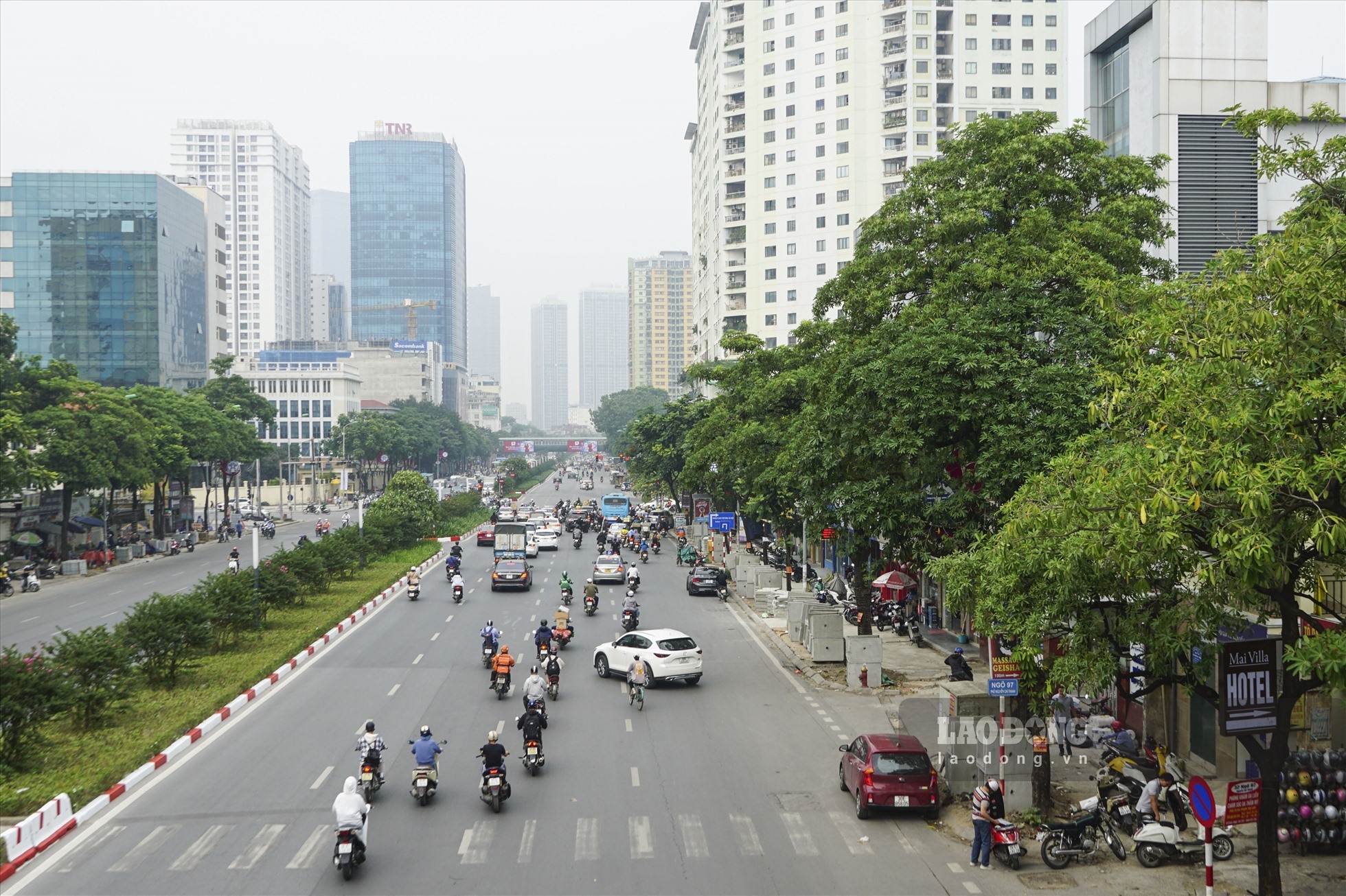 Hàng cây hoa sữa trên đường Nguyễn Chí Thanh (TP.Hà Nội.