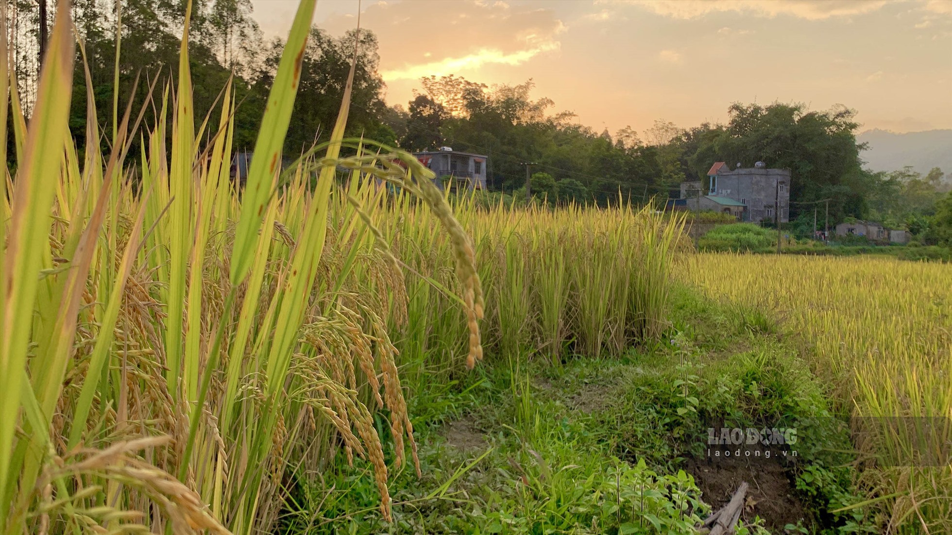 Bình Liêu là một huyện thuộc tỉnh Quảng Ninh