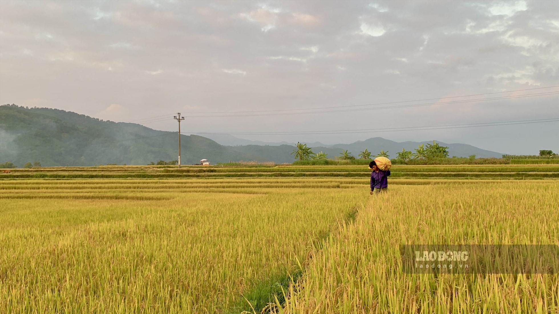 Để có được những mẻ thóc ngon, người dân còn sử dụng máy sàng trấu rồi mới bắt đầu phơi thóc. Ảnh: TH.