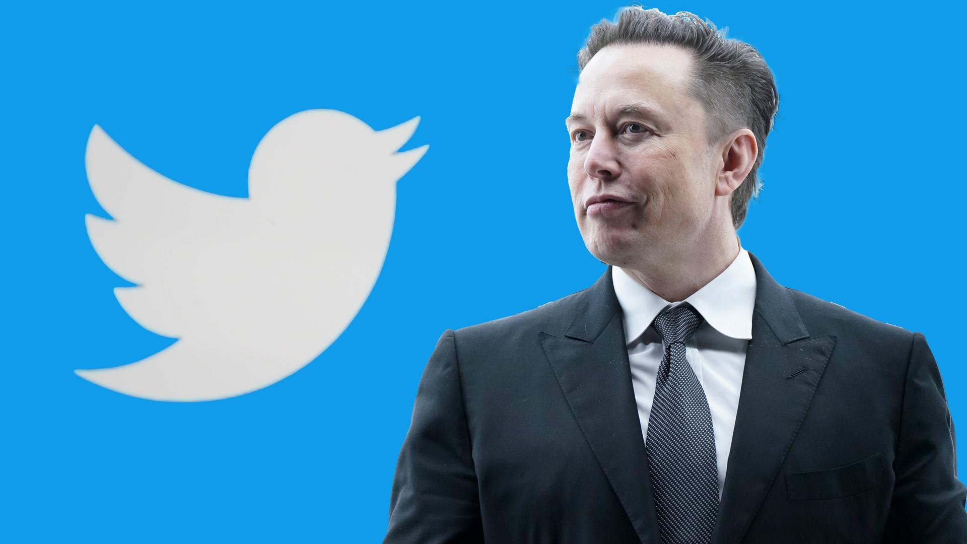 Elon Musk đã hoàn tất thương vụ mua lại mạng xã hội Twitter (Ảnh: internet)