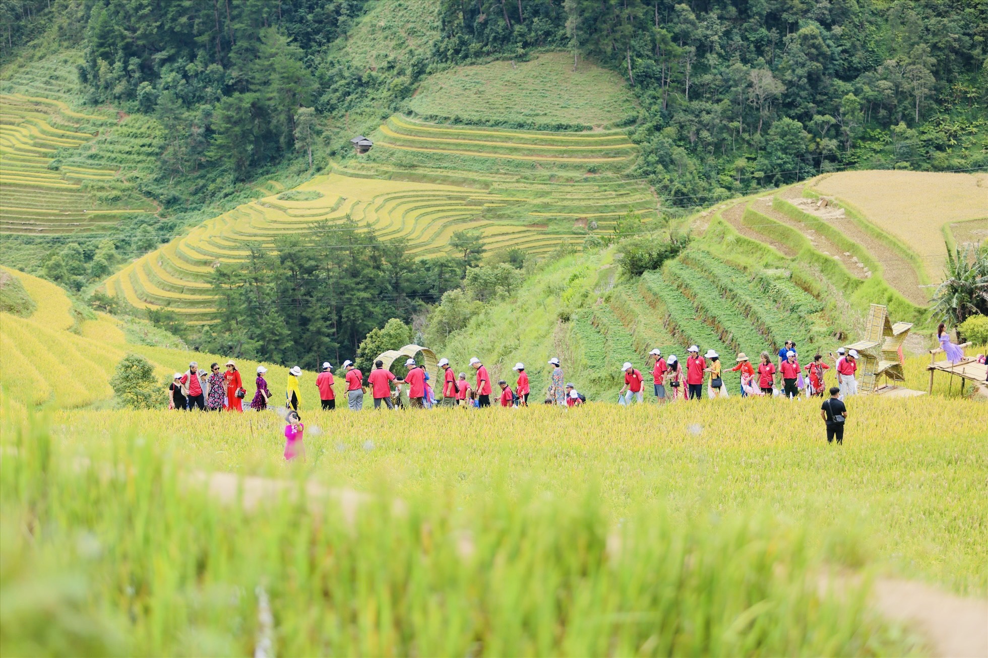 Ruộng bậc thang thuộc 3 xã La Pán Tẩn, Dế Xu Phình, Chế Cu Nha… được công nhận danh thắng quốc gia và nằm trong top 10 ruộng bậc thang đẹp nhất thế giới.