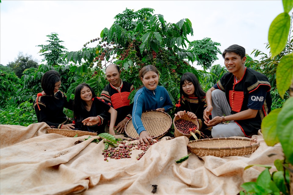 Tại lễ hội lần này người trồng cà phê ở Đắk Lắk sẽ được tôn vinh cho những đóng góp của họ đối với tỉnh nhà. Ảnh: B.T