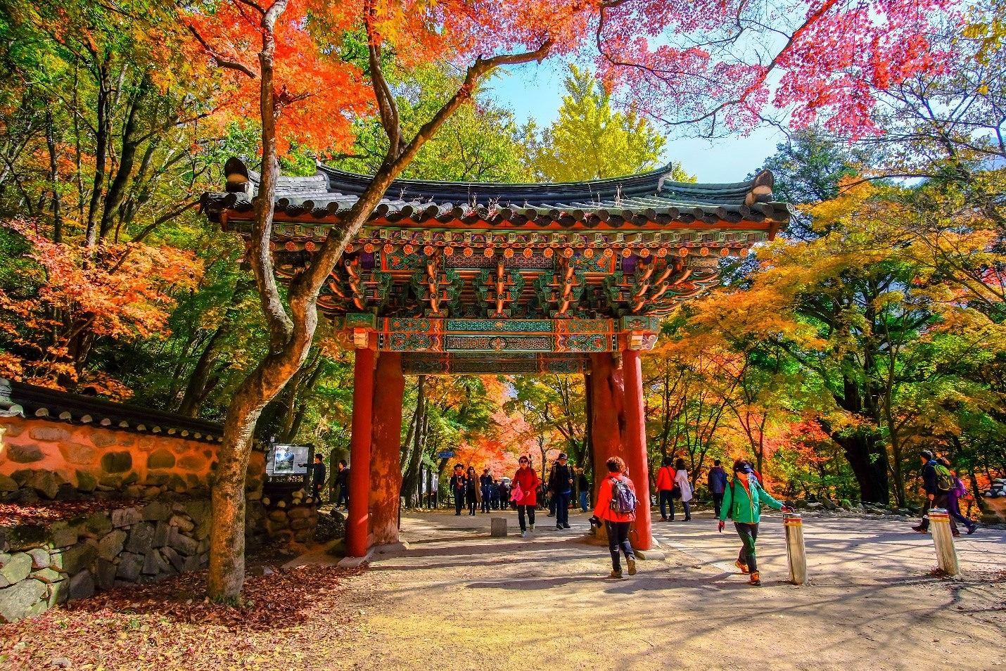 Chiến dịch quảng bá du lịch Hàn Quốc giữa Vietravel và Tổng Cục du lịch Hàn Quốc tại Việt Nam (KTO) – Nguồn ảnh: Shutterstock