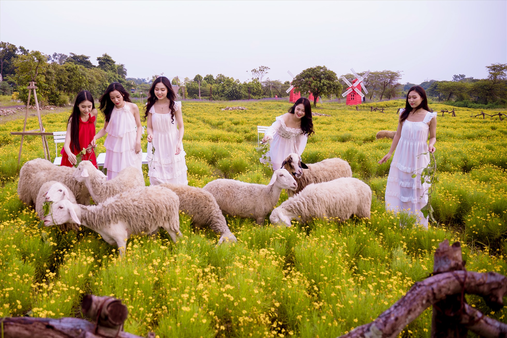 “Lần này nhóm mình có tìm hiểu trước, sau đó cùng thống nhất chọn trang phục sáng màu để phù hợp với bối cảnh. Nhưng với không gian đẹp như thế này thì không khó để mọi người có một bức ảnh ưng ý.” - Bùi Thu Phương (sinh viên trường ĐH Phương Đông) chia sẻ.