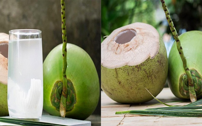 Nước dừa: Nước dừa có nhiều vitamin và khoáng chất, chất điện giải tự nhiên giúp hệ tiêu hóa hoạt động trơn tru và ngăn ngừa táo bón. Bên cạnh đó, nó còn có khả năng làm dịu đường tiêu hóa, điều chỉnh hoạt động của ruột.