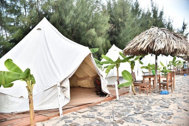 Khi tới Coco Beach Camp bạn sẽ được trải nghiệm tự tay dựng lều cho mình. Ảnh: Coco Beach Camp.
