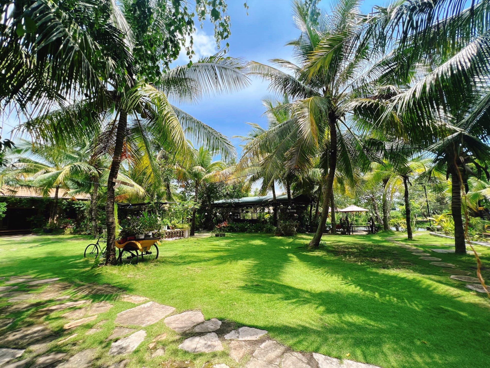 Lagi Farmstay tràn ngập sắc xanh. Ảnh: Lagi Farmstay.