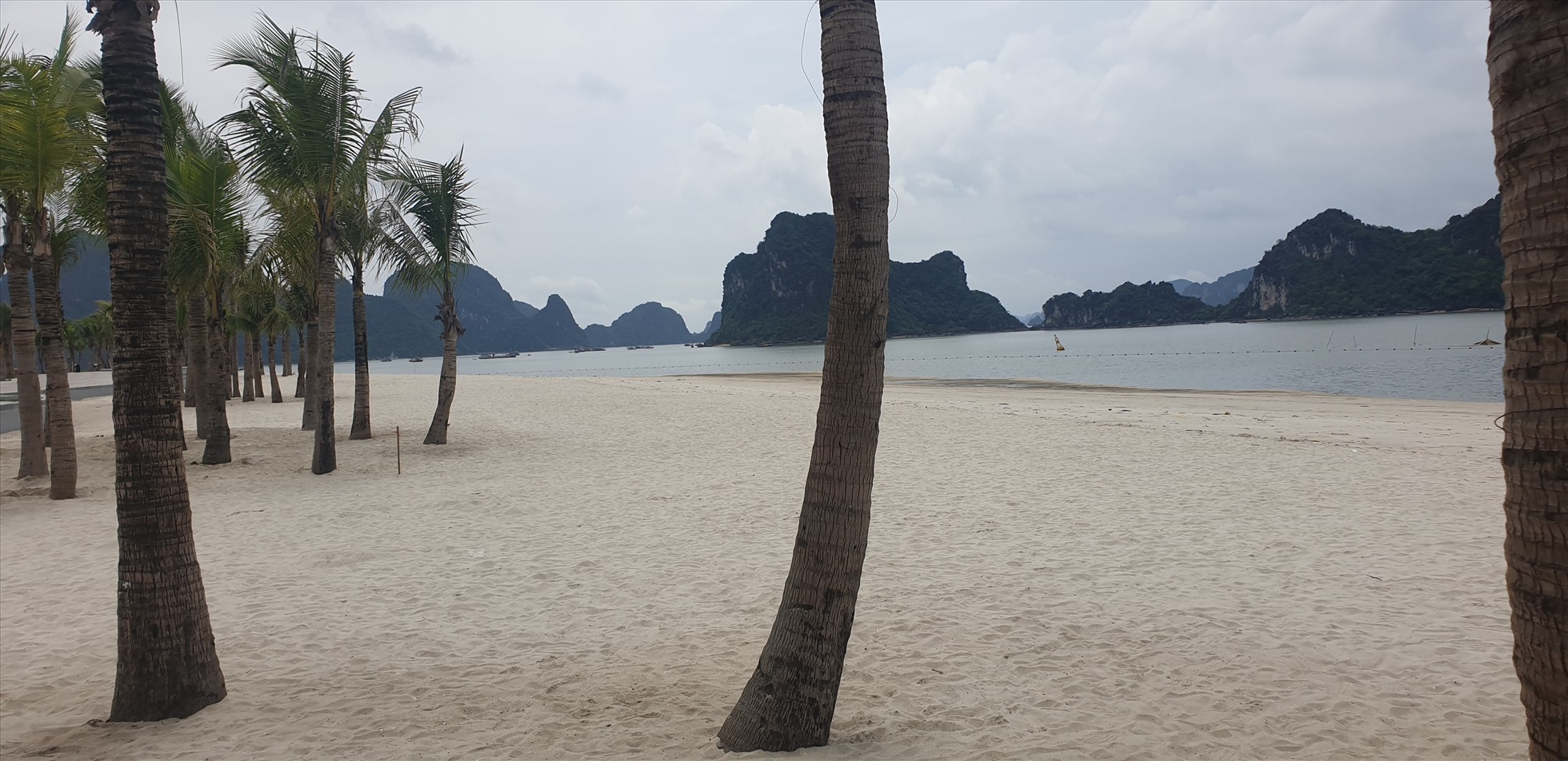 Hạ Long tìm nhà đầu tư quản lý, khai thác bãi tắm biển trăm tỉ Hòn Gai Hạ Long tìm nhà đầu tư quản lý, khai thác bãi tắm biển trăm tỉ Hòn Gai