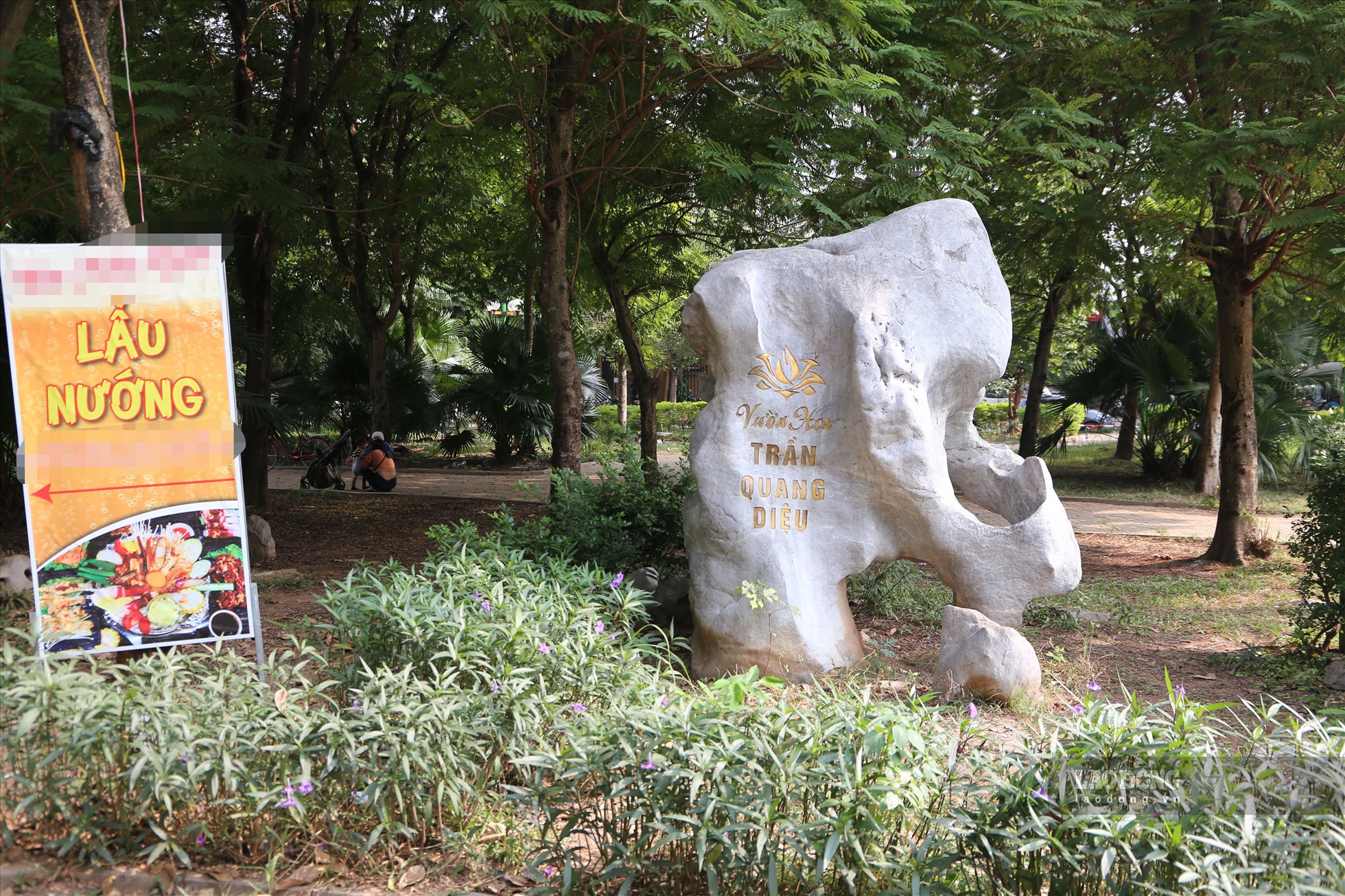 Sau 8 năm khánh thành vườn hoa Trần Quang Diệu hiện đang xuống cấp, hoang tan.