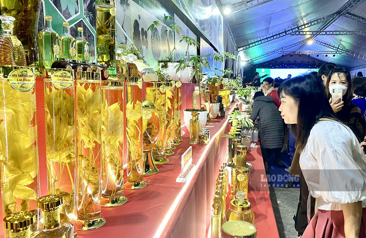 Hội chợ sâm thu hút hàng trăm người đến thăm quan.
