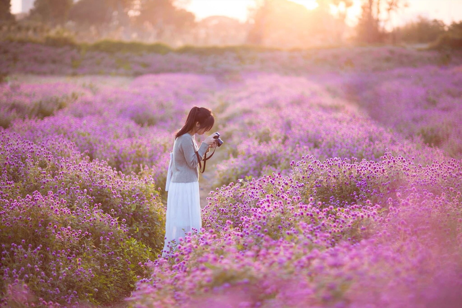 “Qua bức ảnh này, mình muốn quảng bá hình ảnh về một đất nước Việt Nam rằng, không phải chỉ có những nơi ở Châu Âu mới có thể tạo được những đồng hoa đẹp như thế mà Việt Nam mình cũng làm được, và đẹp không kém cạnh gì” anh Thế Anh chia sẻ.