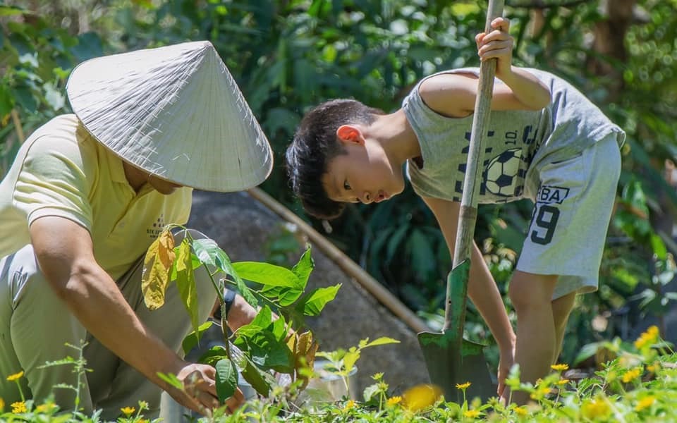 Chăm sóc vườn rau ngay tại resort. Ảnh: Six Senses Ninh Van Bay