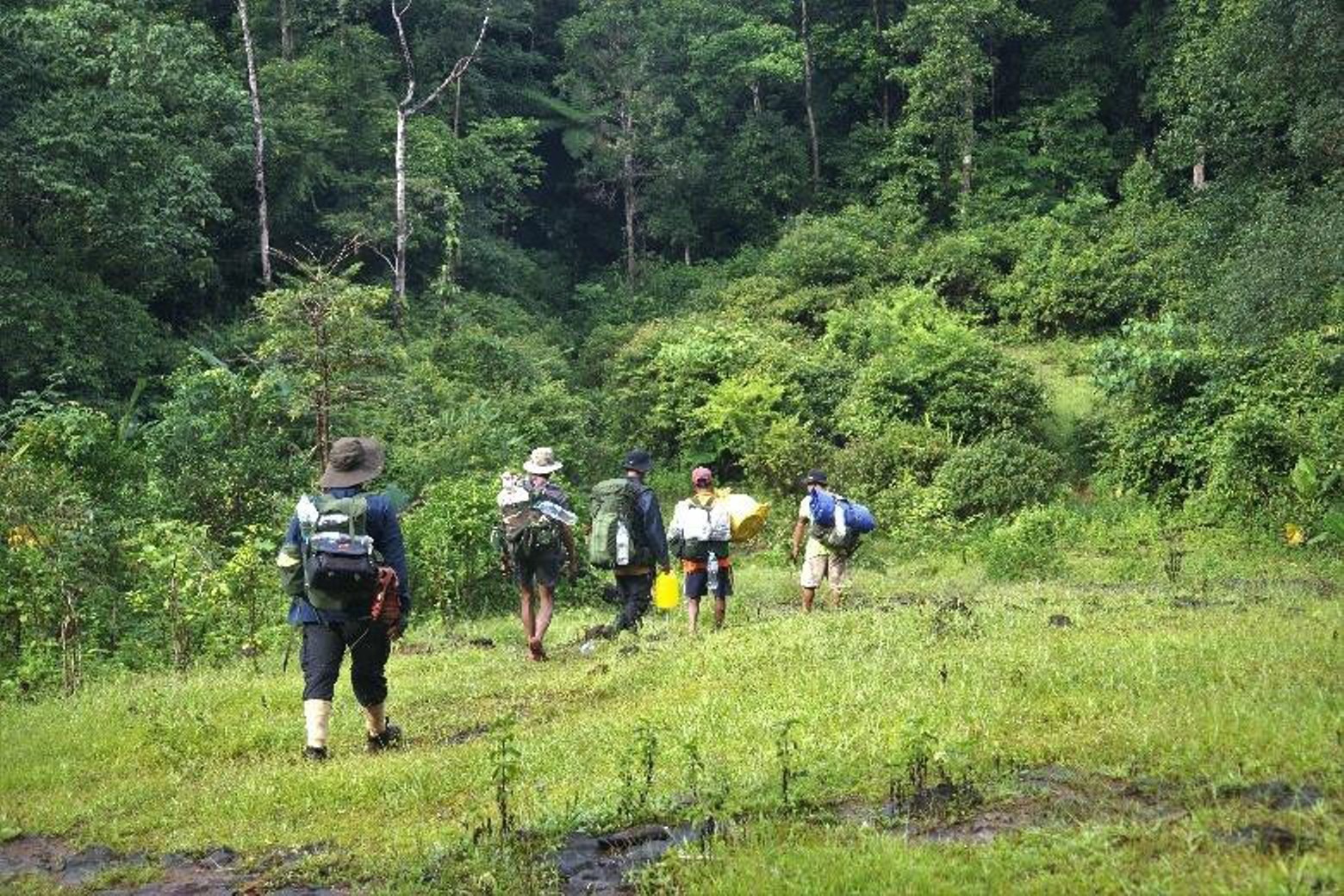 Nhóm khảo sát vượt qua khoảng 400km đường núi rừng, khảo sát hiện trạng quần thể của voọc chà vá chân xám. Ảnh: Trung tâm Bảo tồn đa dạng sinh học Nước Việt Xanh.