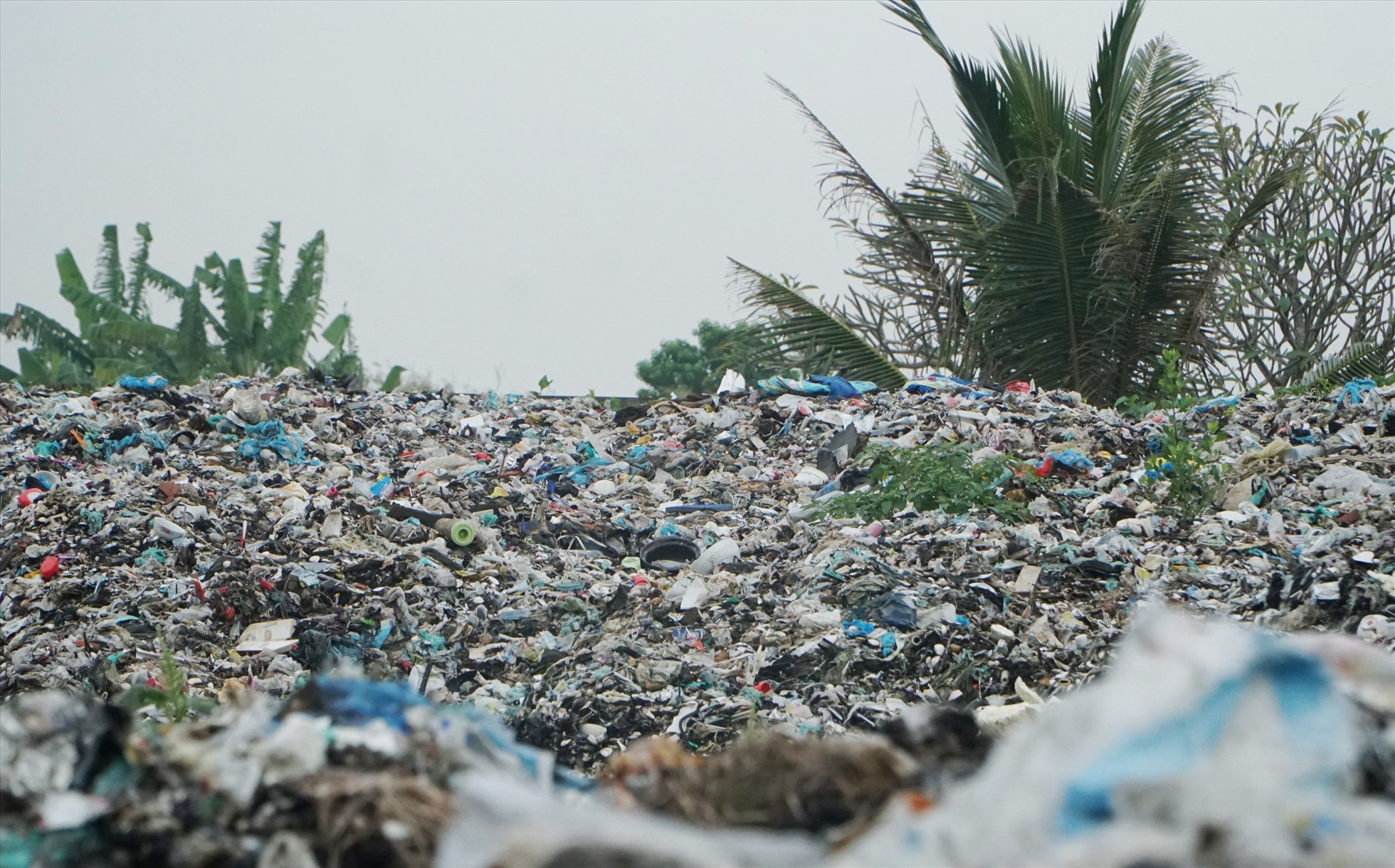 Khiến rác thải chất thành đống, không được xử lý và bốc mùi hôi thối.