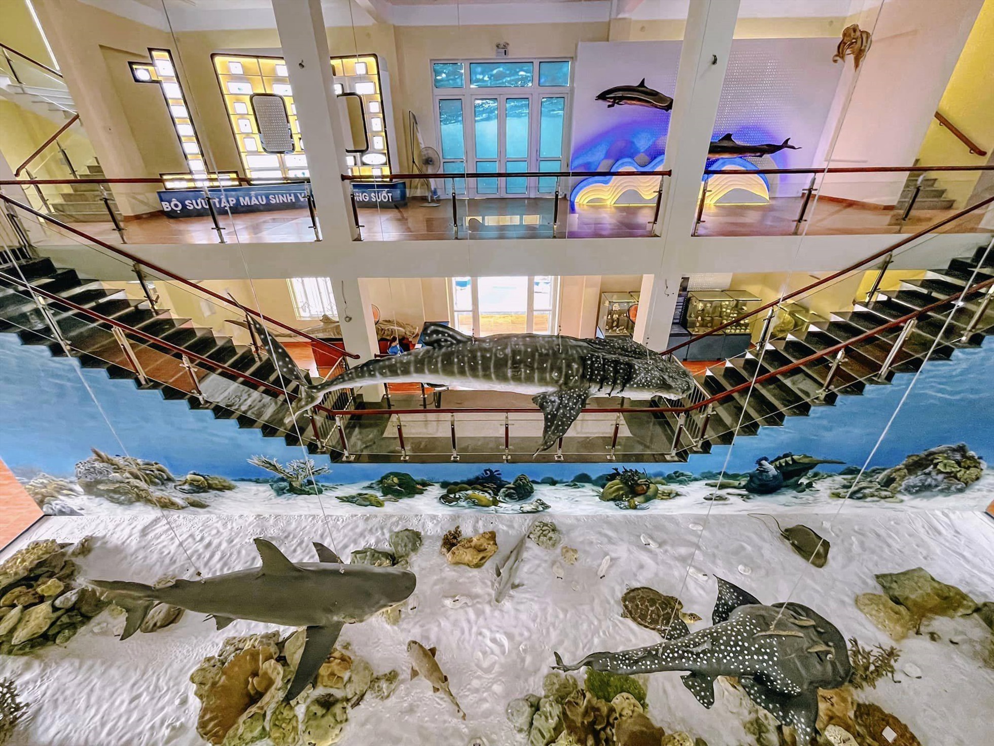 Ảnh: Bảo Tàng Hải Dương Học - Museum Of Oceanography