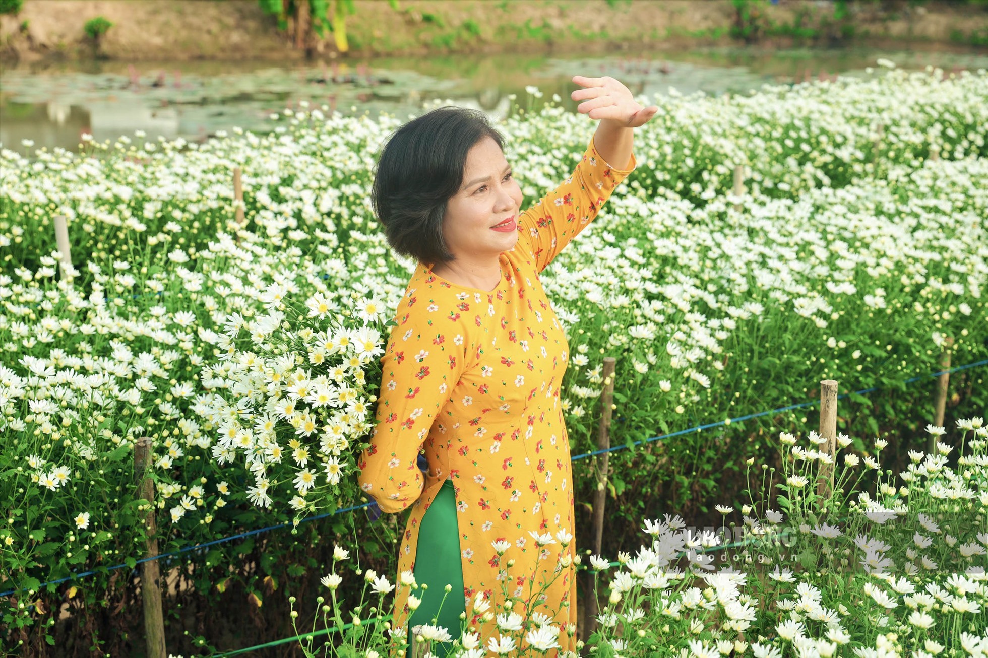 Vườn hoa thành phố Đồng Xoài phục vụ nhân dân du xuân chụp ảnh