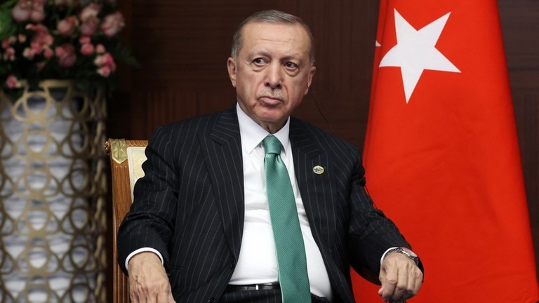 Tổng thống Recep Tayyip Erdogan nói rằng EU có thể mua khí đốt Nga thông qua Thổ Nhĩ Kỳ. Ảnh: AFP