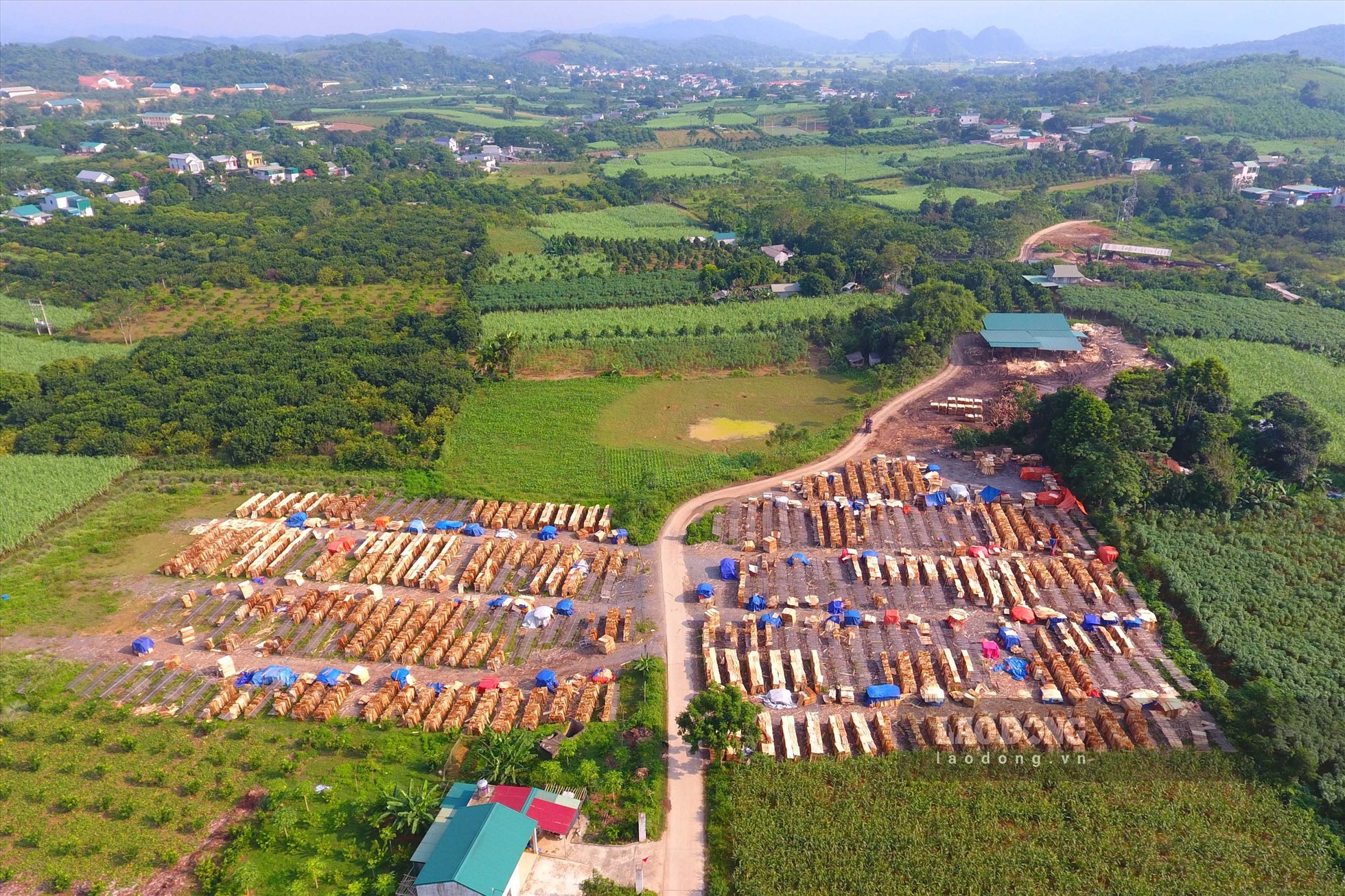 Kết quả kiểm tra cho thấy 7 xưởng keo trên địa bàn huyện Tân Lạc không đủ hồ sơ giấy tờ pháp lý đủ điều kiện kinh doanh, sản xuất chế biến gỗ keo. Ảnh: Trần Trọng.