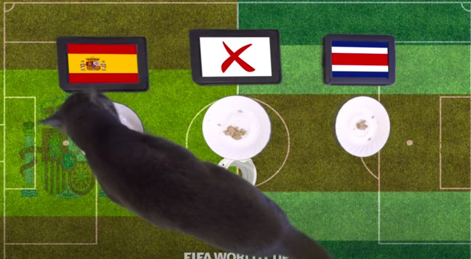 Mèo Cass đưa ra dự đoán kết quả Anh vs Iran với phần thắng nghiêng về đội tuyển Anh. Ảnh cắt từ clip.