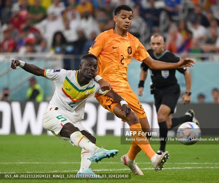 Senegal thi đấu không tệ trước Hà Lan.  Ảnh: AFP