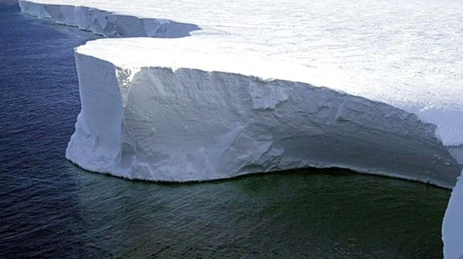 Bắc cực. Ảnh: AFP