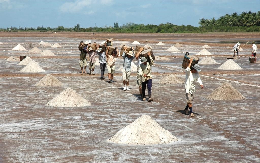 Năm 2022, sản lượng muối Bạc Liêu chưa đến 16.000 tấn, thấp nhất từ trước đến nay, diêm dân rất khó khăn nếu độc canh hạt muối. Ảnh: Nhật Hồ