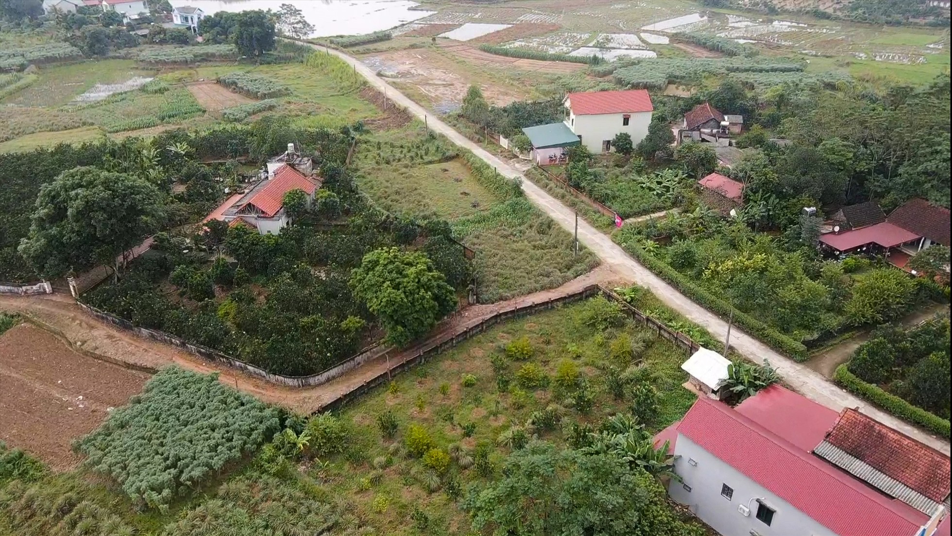 Hình ảnh ghi nhận tại huyện Tam Nông - tỉnh Phú Thọ. Ảnh: Phan Anh