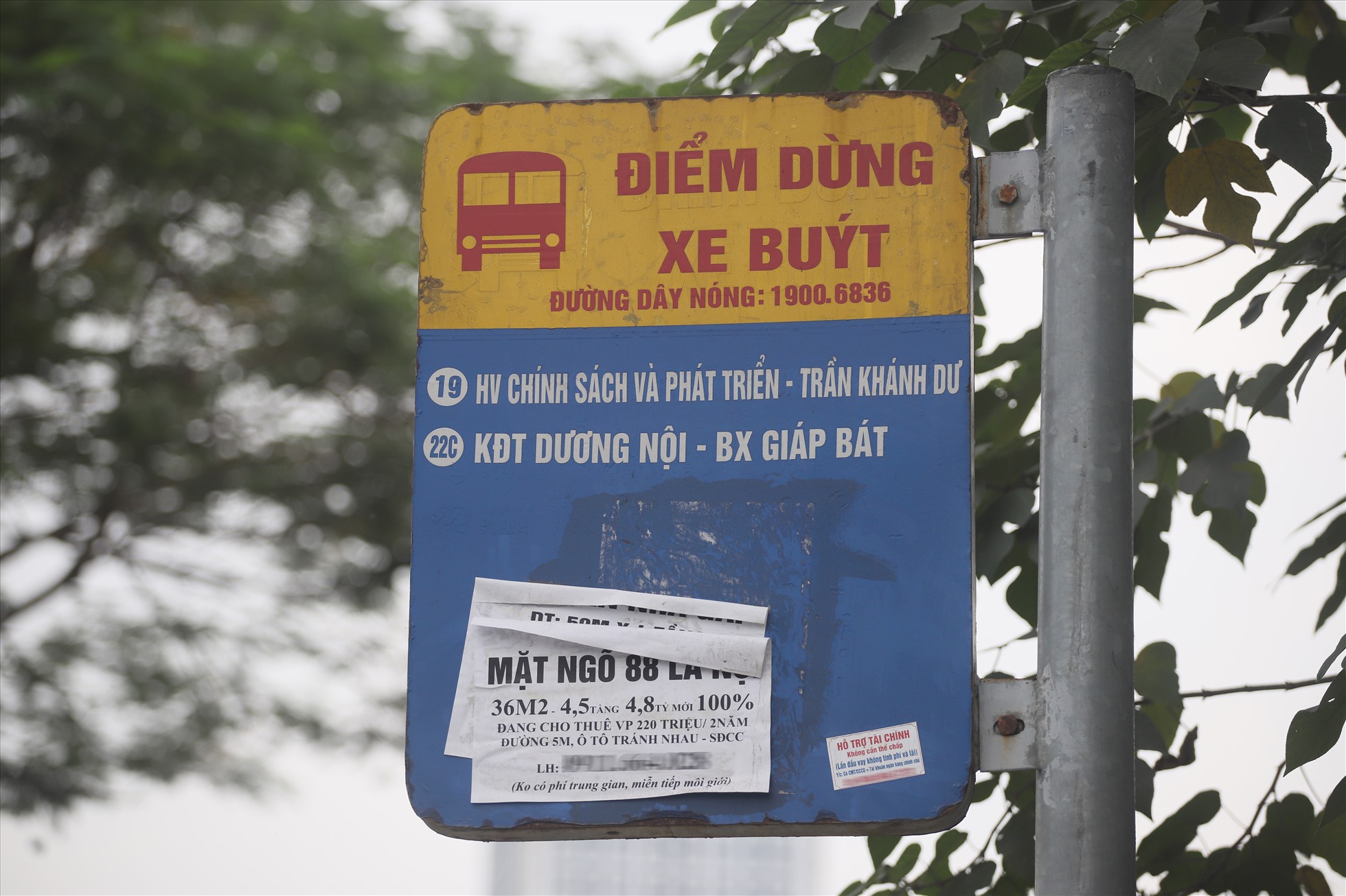 Biển báo và thông tin chuyến của xe buýt Hà Nội cũng chịu chung số phận.