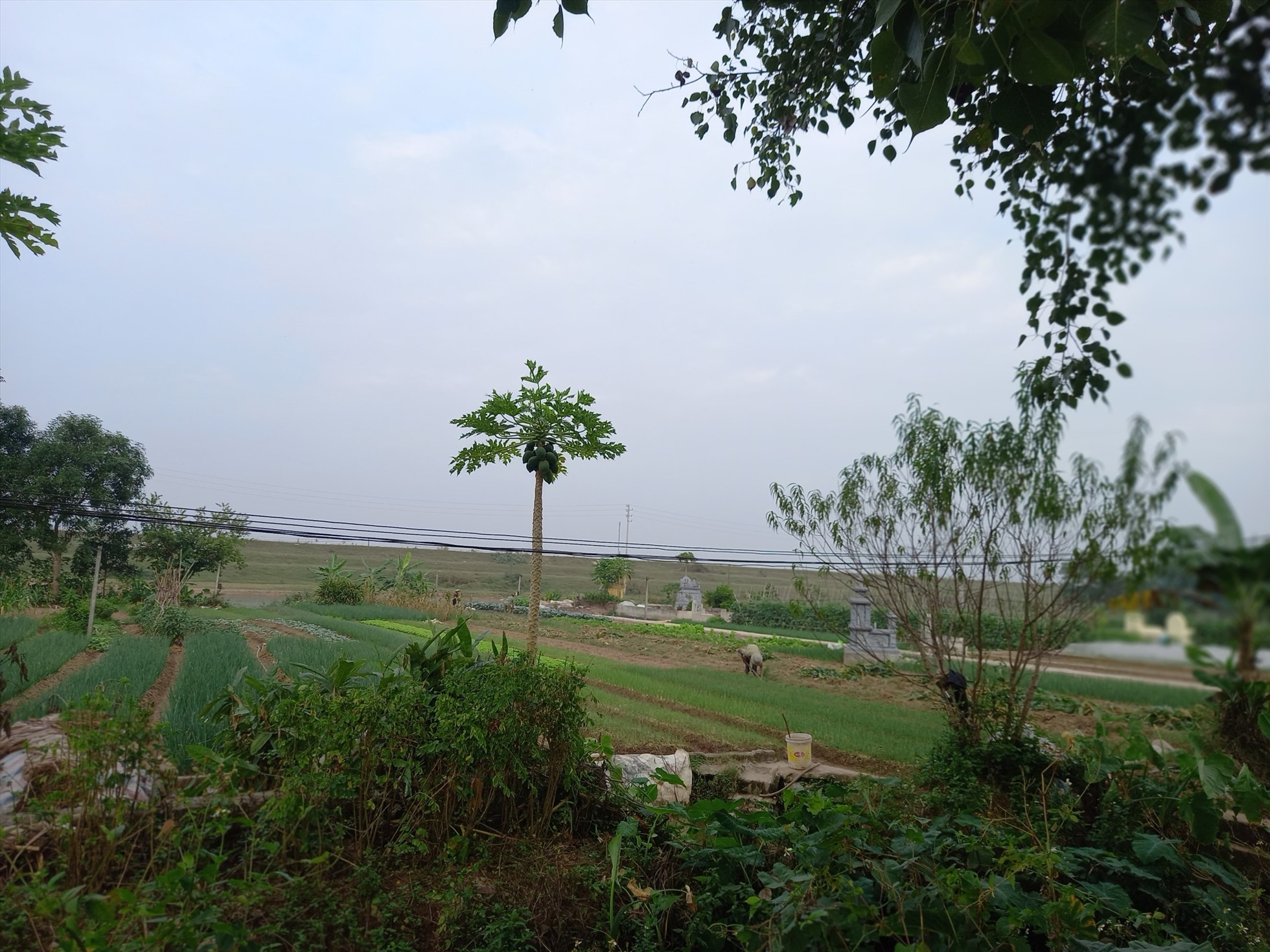 xứ đồng Mả Chế tại xã Long Xuyên, huyện Phúc Thọ