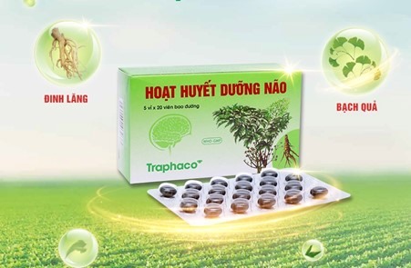 Hoạt huyết dưỡng não là sản phẩm đã đi sâu vào cuộc sống của hàng triệu người Việt