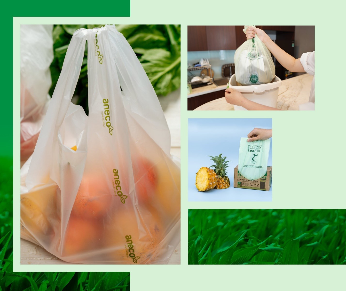 Túi nhựa sinh học phân hủy hoàn toàn AnEco được công nhận là sản phẩm Thương hiệu quốc gia gồm 3 loại: túi đựng thực phẩm, túi shopping và túi rác