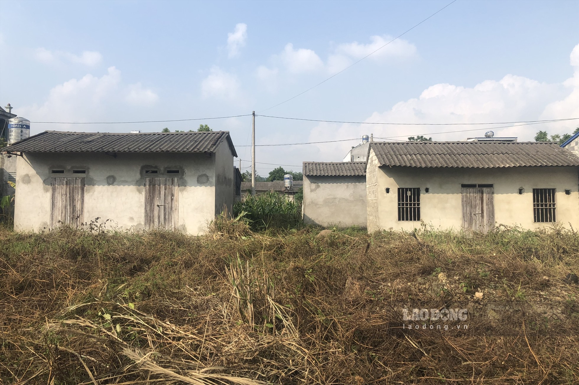 Hàng chục những ngôi nhà bỏ hoang trong khu tái định cư xã Văn Yên. Ảnh: Nguyễn Hoàn