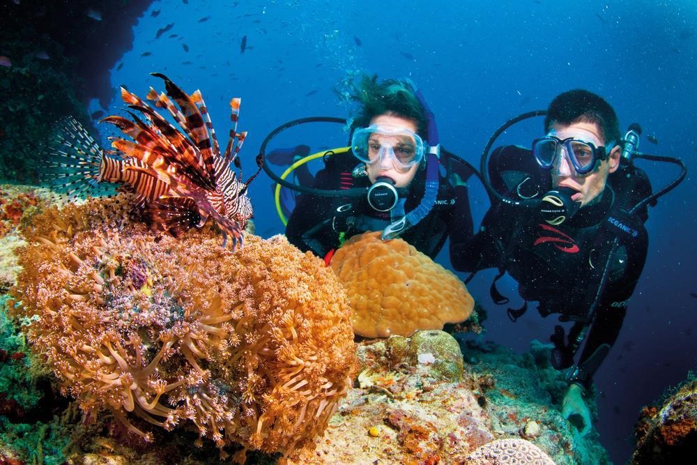 Du khách lặn ngắm san hô tại Côn Đảo. Ảnh: Vườn Quốc gia Côn Đảo