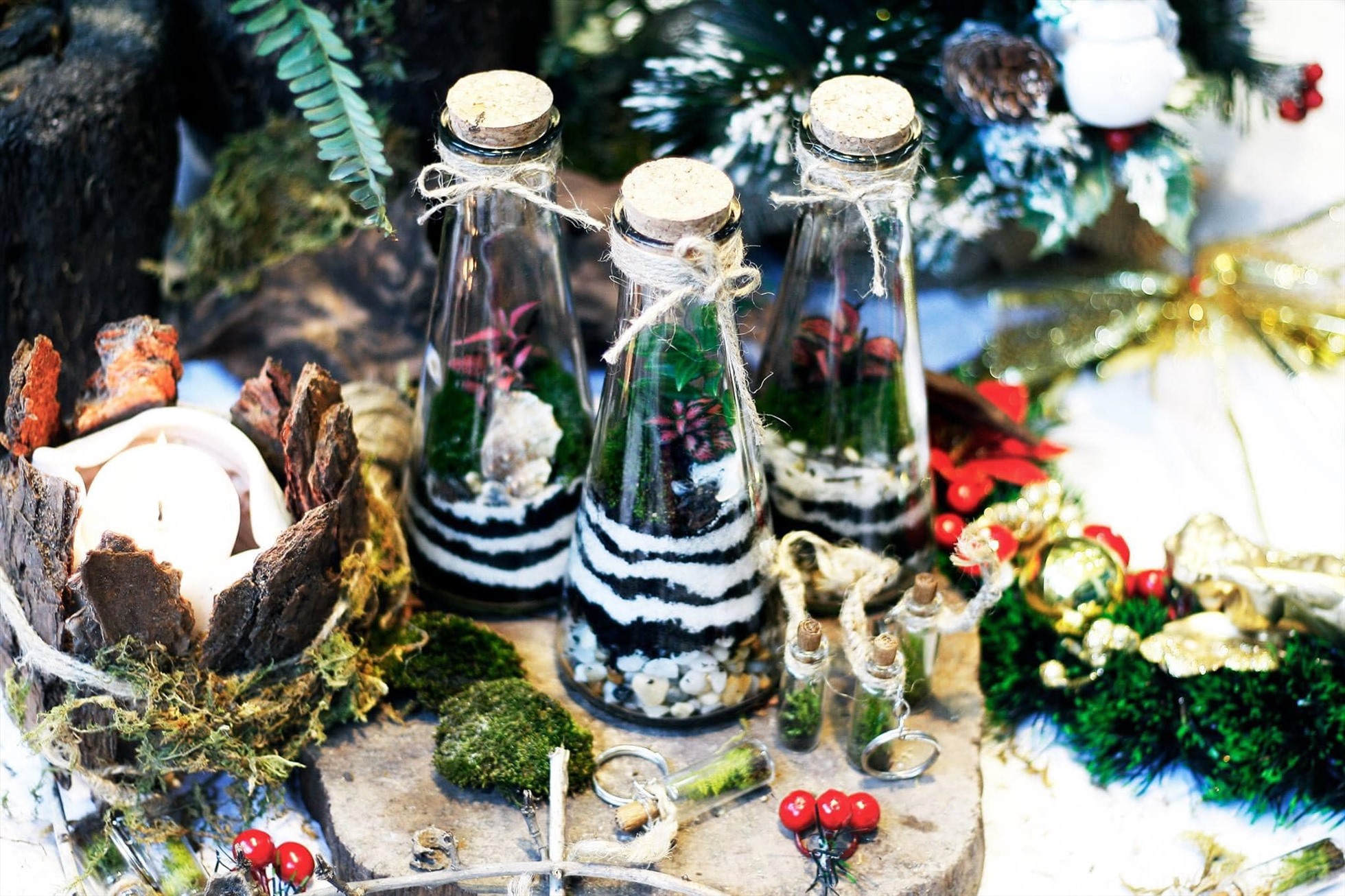 Cuối tuần, bạn có thể tới Grootto trải nghiệm làm terrarium dịp Giáng sinh. Ảnh: Grootto cafe