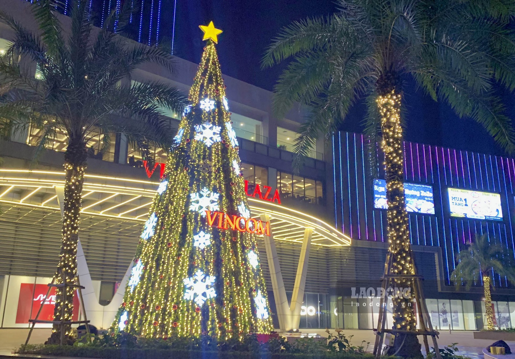 Những cây thông cao hàng chục mét, được trang trí cầu kỳ, bắt mắt thu hút sự chú ý của người dân thành phố Cảng trong mùa Giáng sinh năm nay. Ảnh: Thiên Hà