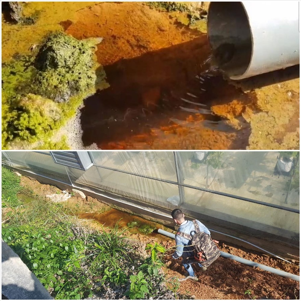 Năm 2019, Lao Động đã có bài viết ““Lộ” dự án sai quy hoạch từ mùi hôi ở nhà máy nước sạch“. Hình ảnh trên là rãnh nước sẫm màu phía sau các nhà màng nằm trong khuôn viên nhà máy nước. Ảnh: PĐ.