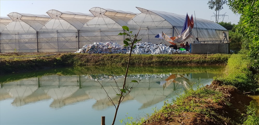 Một phần Dự án Nuôi trồng nông nghiệp sạch Lộc An (Ảnh chụp năm 2019). Ảnh: PĐ.