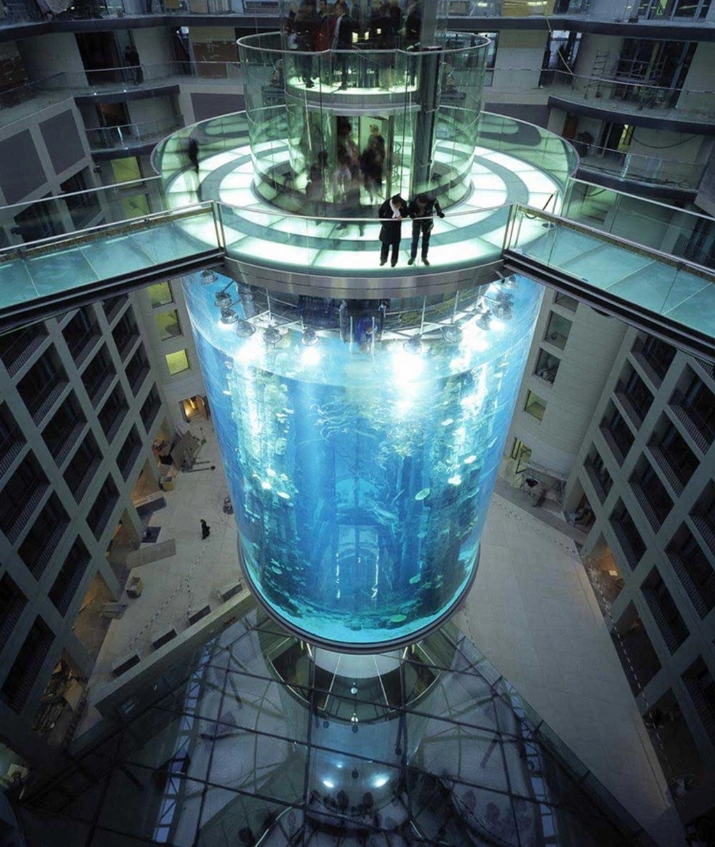 AquaDom ở Berlin là thủy cung hình trụ lớn nhất thế giới, thể tích 1 triệu lít. Ảnh: AFP