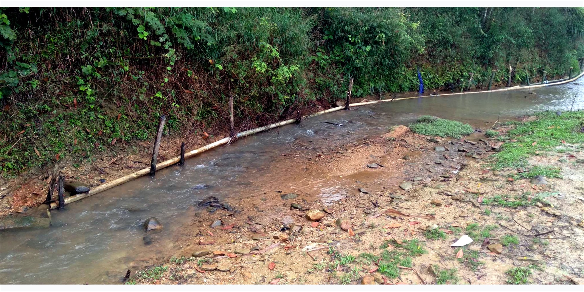 Trang trại chăn nuôi lợn của người dân thôn Quyết Thắng xã Sơn Kim 2 bắt ống nước xả trực tiếp ra dòng suối. Ảnh: Minh Lý
