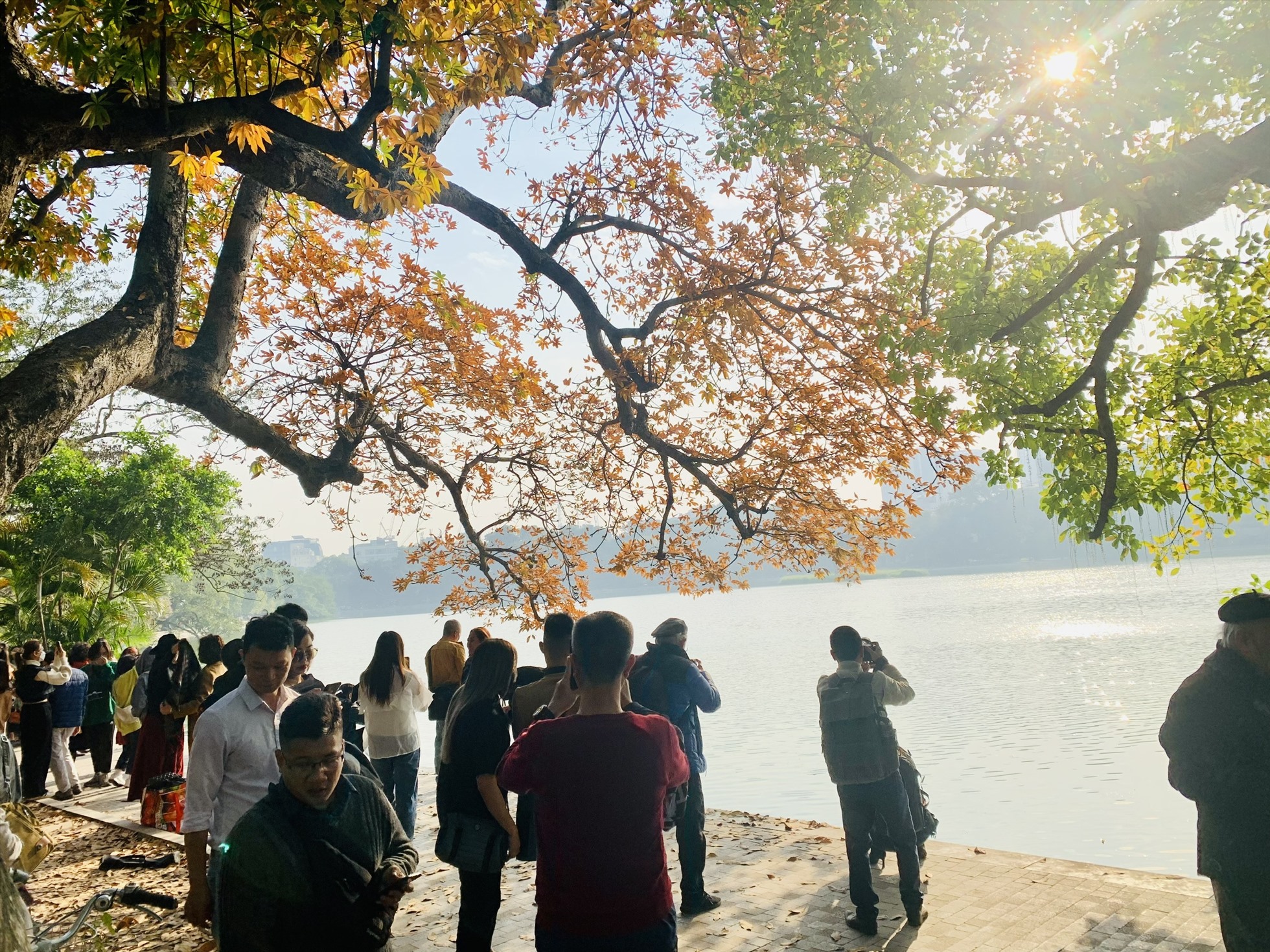 Du khách đổ xô đến check-in với lá vàng bên Hồ Hoàn Kiếm