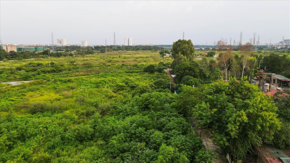 10 năm trôi qua, dự án Khu đô thị mới Thịnh Liệt (Hoàng Mai – Hà Nội) vẫn chỉ là đồng cỏ bỏ hoang. Ảnh: Khương Duy