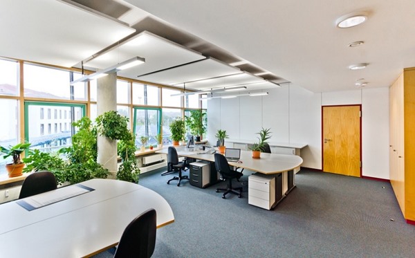 Yếu tố xanh trở thành một yêu cầu không thể thiếu trong việc thiết kế không gian văn phòng hiện tại. Ảnh: Trần Hạnh